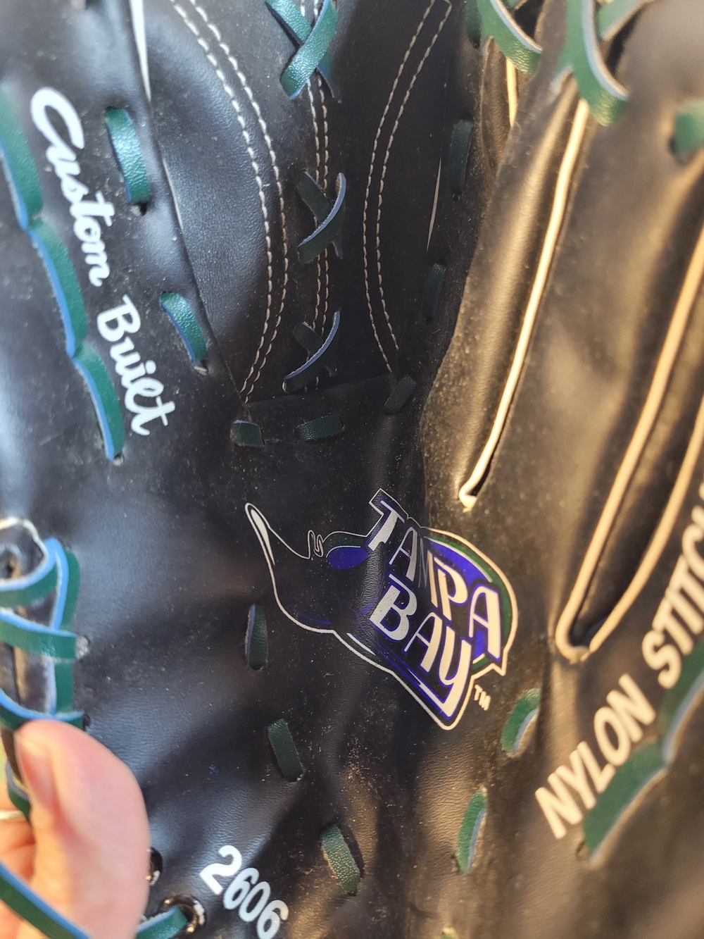 Tampa Bay Rays Ball Glove (W)